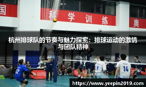 杭州排球队的节奏与魅力探索：排球运动的激情与团队精神