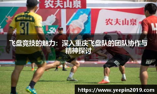 飞盘竞技的魅力：深入重庆飞盘队的团队协作与精神探讨