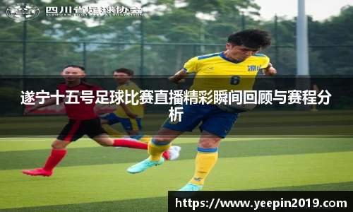 遂宁十五号足球比赛直播精彩瞬间回顾与赛程分析