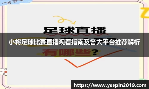 qy球友会体育