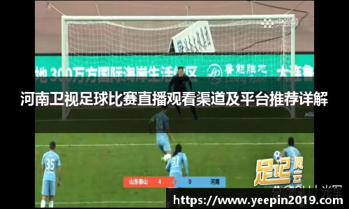 河南卫视足球比赛直播观看渠道及平台推荐详解